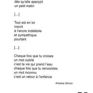 Antoine Simon 2