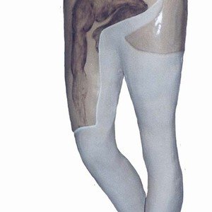 M. Thibaudin, antibuste